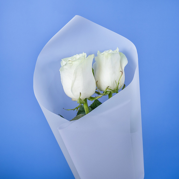 Купить Букет из 2 белых роз 50 см (Эквадор) в  с бесплатной доставкой: цена, фото, описание