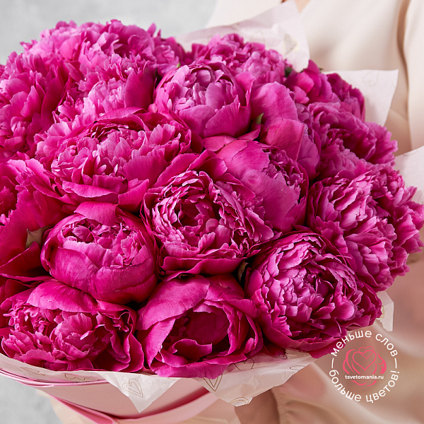 Купить Букет из 25 розовых пионов (Стандарт) в  с бесплатной доставкой: цена, фото, описание