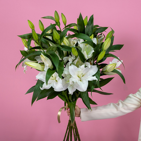 Купить Лилия Евро в  с бесплатной доставкой: цена, фото, описание