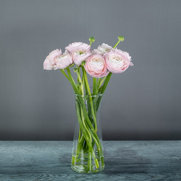 Купить Ранункулюсы поштучно в  с бесплатной доставкой: цена, фото, описание