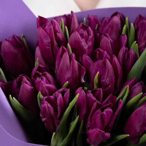 Купить Букет 25 фиолетовых тюльпанов в  с бесплатной доставкой: цена, фото, описание