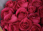 Купить Букет из 25 розовых роз 40 см (Эквадор) в Санкт-Петербурге с бесплатной доставкой: цена, фото, описание
