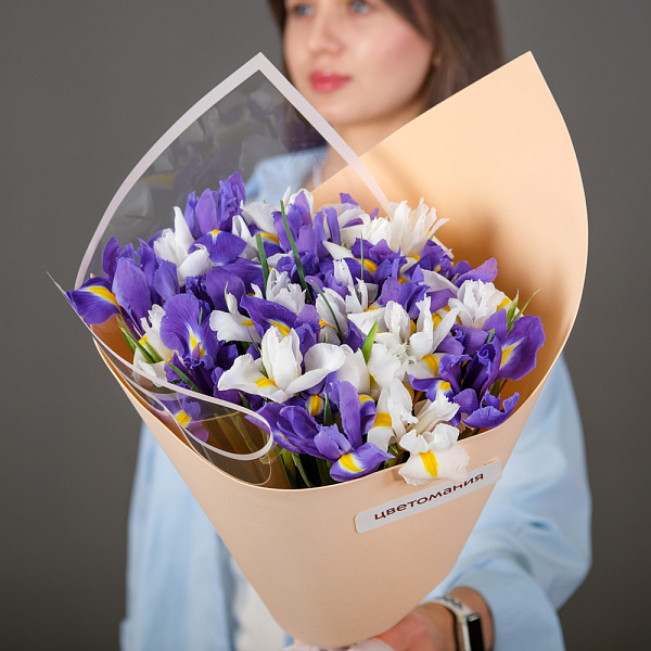 Купить Букет из 25 ирисов микс в упаковке в  с бесплатной доставкой: цена, фото, описание