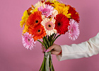 Купить Гербера микс в  с бесплатной доставкой: цена, фото, описание