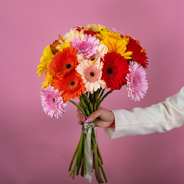 Купить Гербера микс в  с бесплатной доставкой: цена, фото, описание