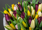 Купить Букет 51 тюльпан микс в  с бесплатной доставкой: цена, фото, описание