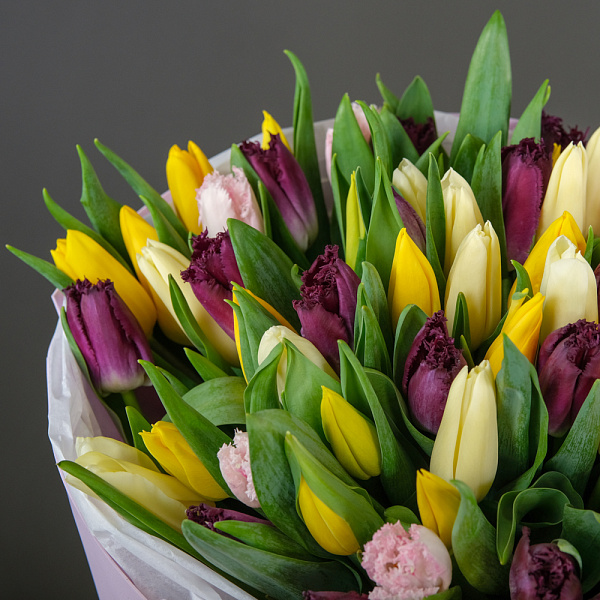 Купить Букет 51 тюльпан микс в  с бесплатной доставкой: цена, фото, описание