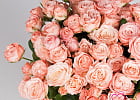 Купить Кустовая роза Мадам Бомбастик в Санкт-Петербурге с бесплатной доставкой: цена, фото, описание