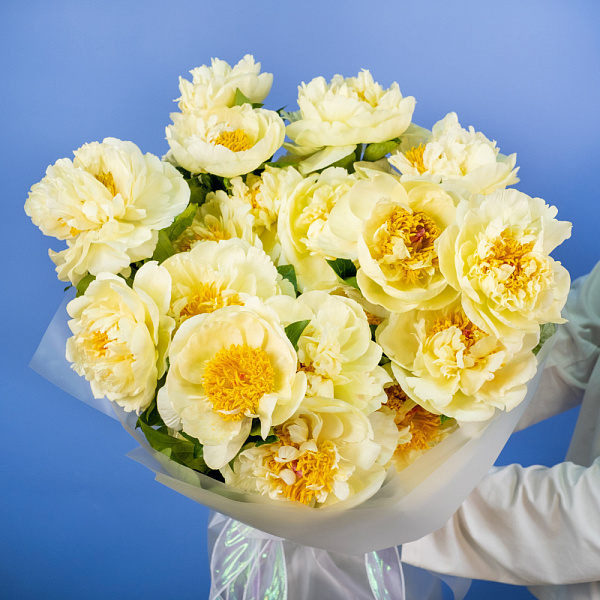 Купить Букет из 25 лимонных пионов (Премиум) в  с бесплатной доставкой: цена, фото, описание