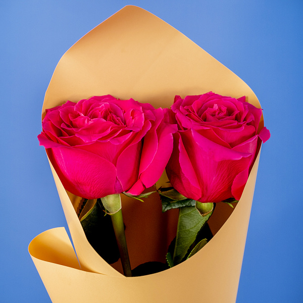 Купить Букет из 2 розовых роз 50 см (Эквадор) в  с бесплатной доставкой: цена, фото, описание