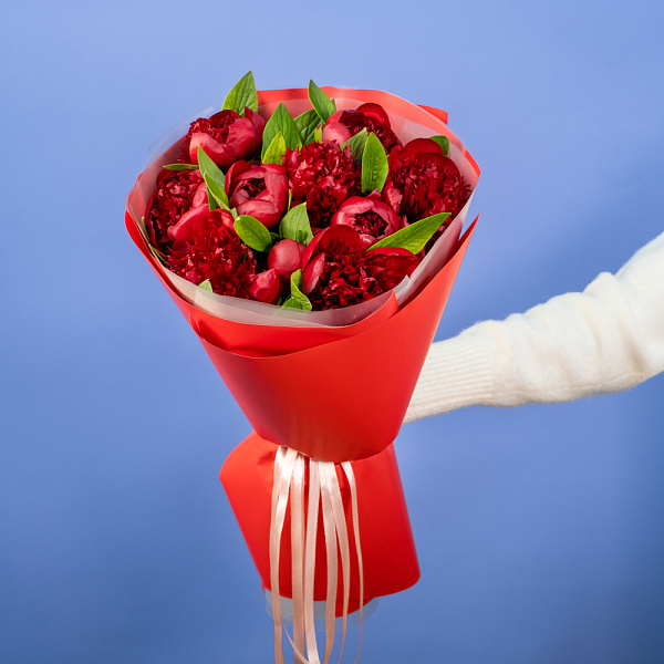 Купить Букет из 11 бордовых пионов (Премиум) в  с бесплатной доставкой: цена, фото, описание