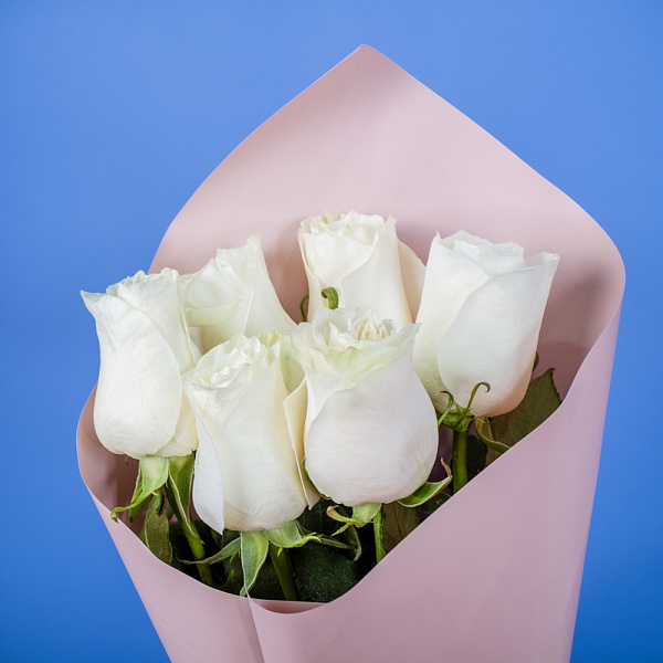 Купить Букет из 6 белых роз 50 см (Эквадор) в  с бесплатной доставкой: цена, фото, описание