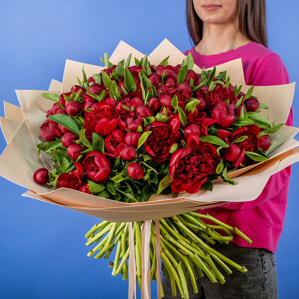 Купить Букет из 101 бордового пиона (Премиум) в  с бесплатной доставкой: цена, фото, описание