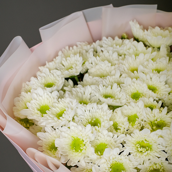 Купить Букет из 15 кустовых хризантем Радость в  с бесплатной доставкой: цена, фото, описание