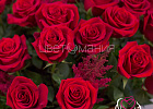 Купить Корзина «101 красная роза» в Санкт-Петербурге с бесплатной доставкой: цена, фото, описание