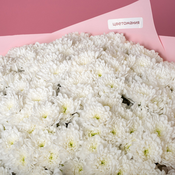 Купить Букет из 35 белых кустовых хризантем в  с бесплатной доставкой: цена, фото, описание