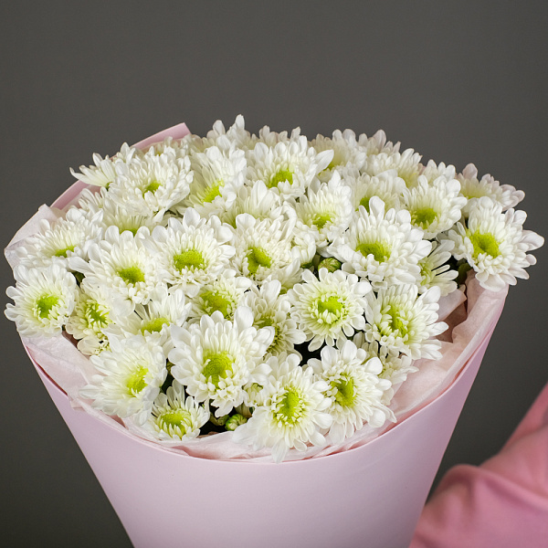 Купить Букет из 9 кустовых хризантем Радость в  с бесплатной доставкой: цена, фото, описание