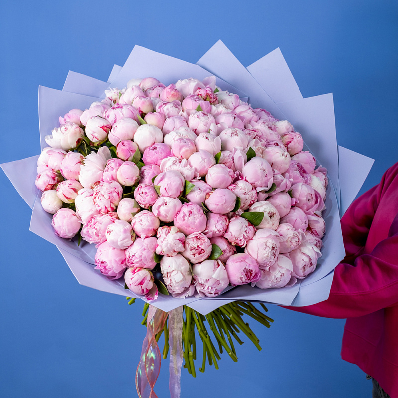 Букет из 101 розового пиона (Премиум)