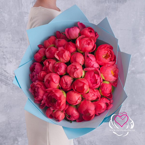 Купить Букет из 35 коралловых пионов (Стандарт) в  с бесплатной доставкой: цена, фото, описание