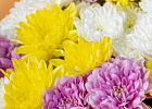 Купить Букет хризантем на 1 сентября в  с бесплатной доставкой: цена, фото, описание