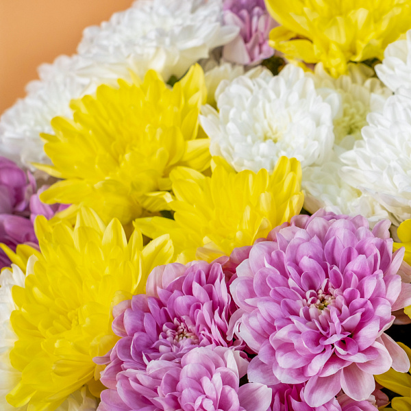 Купить Букет хризантем на 1 сентября в  с бесплатной доставкой: цена, фото, описание