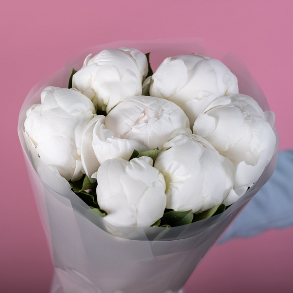 Купить Букет из 7 белых пионов (Премиум) в  с бесплатной доставкой: цена, фото, описание