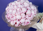 Купить Букет из 35 розовых пионов (Премиум) в  с бесплатной доставкой: цена, фото, описание