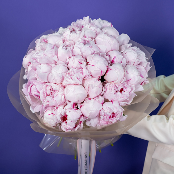 Купить Букет из 35 розовых пионов (Премиум) в  с бесплатной доставкой: цена, фото, описание