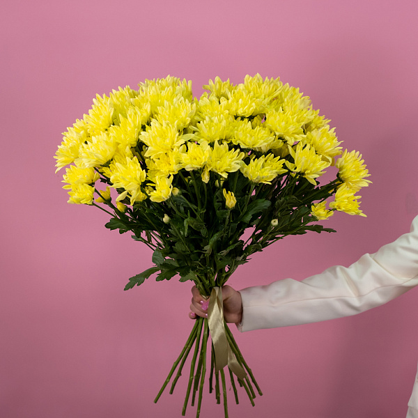 Хризантема кустовая желтая 2 Купить Хризантема кустовая желтая в  с бесплатной доставкой: цена, фото, описание