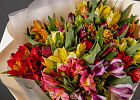 Купить Букет «15 альстромерий» в  с бесплатной доставкой: цена, фото, описание