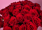 Купить Красная роза (Эквадор) 50 см в  с бесплатной доставкой: цена, фото, описание