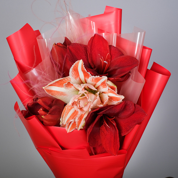 Купить Букет из 3 амариллисов в  с бесплатной доставкой: цена, фото, описание