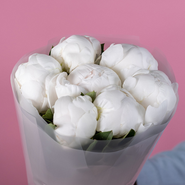 Купить Букет из 7 белых пионов (Премиум) в  с бесплатной доставкой: цена, фото, описание