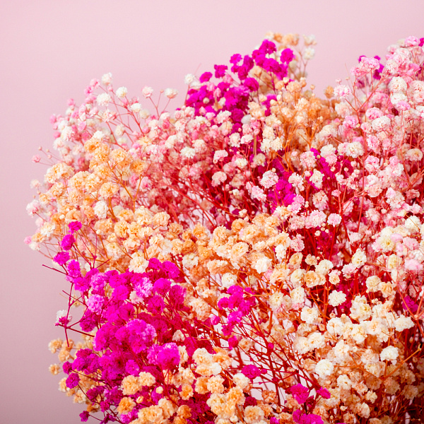 Купить Стабилизированная гипсофила в  с бесплатной доставкой: цена, фото, описание