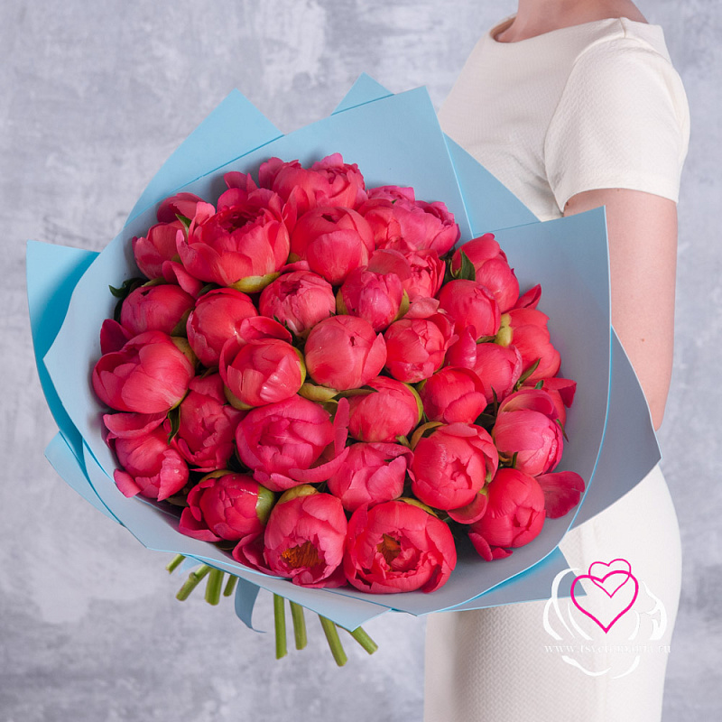 Букет из 35 коралловых пионов (Стандарт)