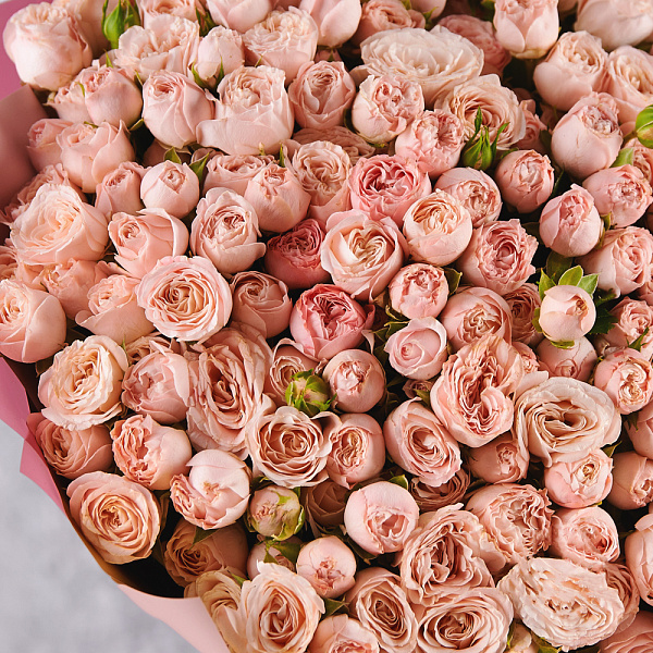 Купить Букет из 51 кустовой розы Мадам бомбастик в  с бесплатной доставкой: цена, фото, описание