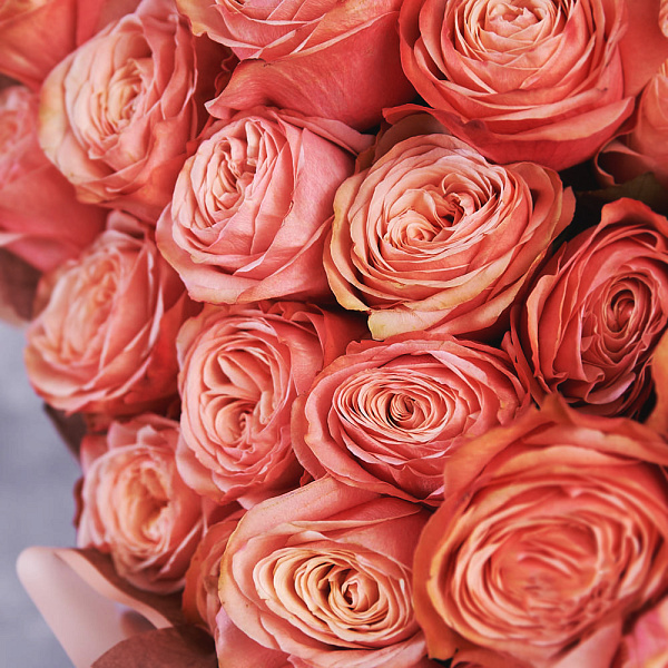 Купить Букет «Кофе с молоком» из 25 роз Кагала (Кахала) в  с бесплатной доставкой: цена, фото, описание