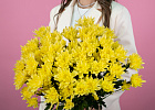 Хризантема кустовая желтая 5 Купить Хризантема кустовая желтая в  с бесплатной доставкой: цена, фото, описание