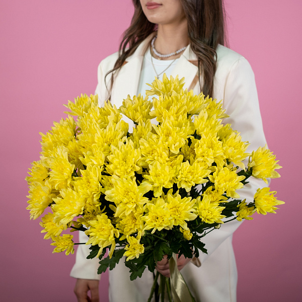 Хризантема кустовая желтая 4 Купить Хризантема кустовая желтая в  с бесплатной доставкой: цена, фото, описание