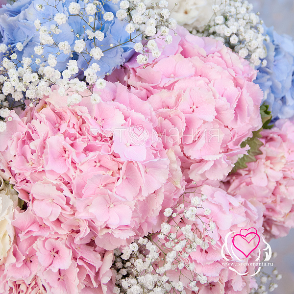 Купить Букет из гортензий с гипсофилами «Воздушный замок» в  с бесплатной доставкой: цена, фото, описание