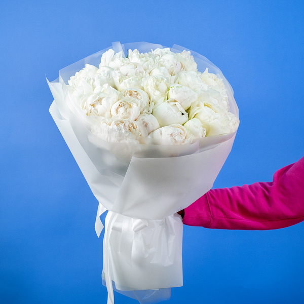 Купить Букет из 35 белых пионов (Премиум) в  с бесплатной доставкой: цена, фото, описание