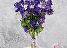 Купить Эустома фиолетовая в Санкт-Петербурге с бесплатной доставкой: цена, фото, описание