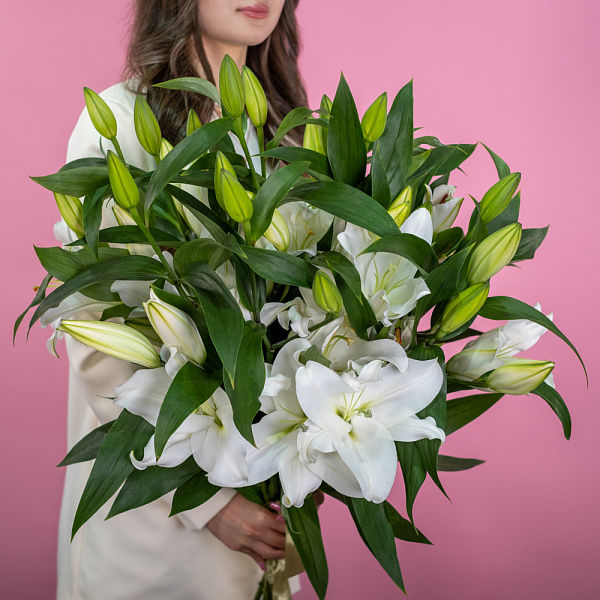 Купить Лилия Евро в  с бесплатной доставкой: цена, фото, описание