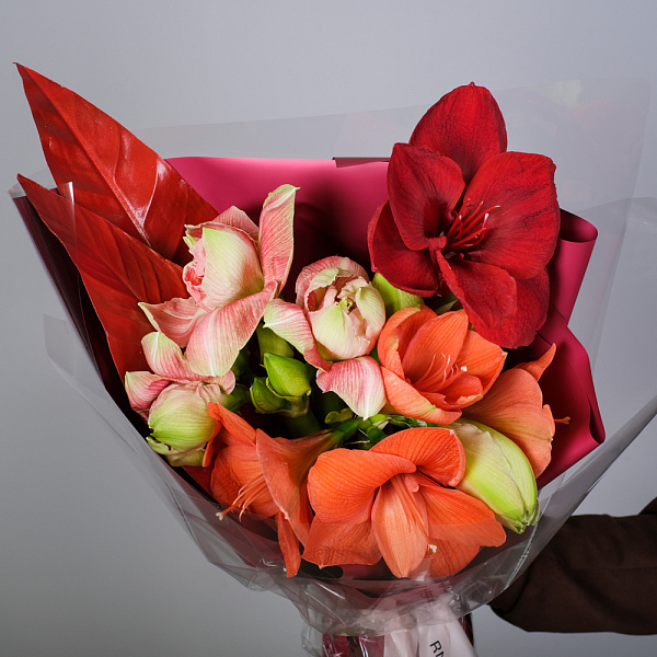 Купить Букет из 5 амариллисов в  с бесплатной доставкой: цена, фото, описание