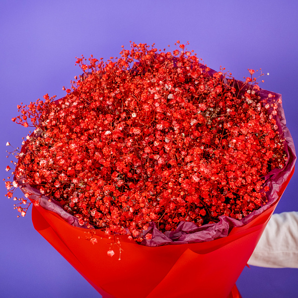 Купить Букет из бордовых гипсофил в  с бесплатной доставкой: цена, фото, описание