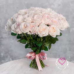 Купить Пионовидная роза Вайт Охара в  с бесплатной доставкой: цена, фото, описание