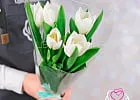 Купить Букет 5 белых тюльпанов в плёнке в  с бесплатной доставкой: цена, фото, описание
