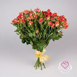 Купить Кустовая роза Фаерфлеш в  с бесплатной доставкой: цена, фото, описание
