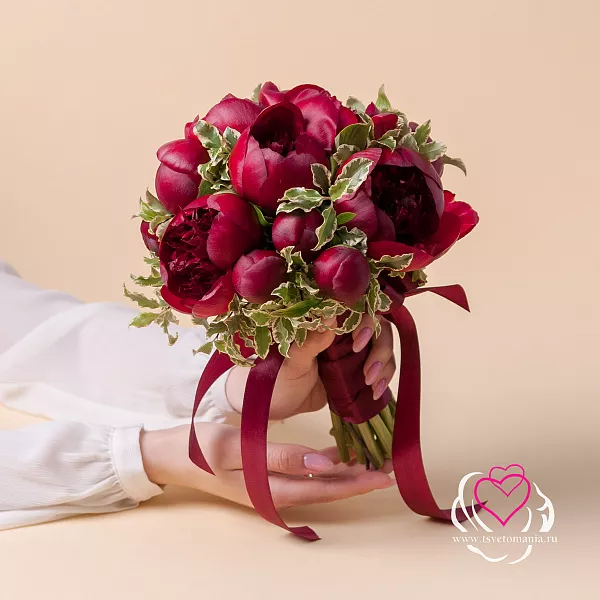 Купить Букет невесты из бордовых пионов с питтоспорумом в  с бесплатной доставкой: цена, фото, описание