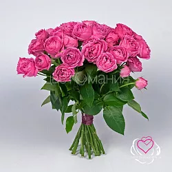 Купить Кустовая роза Мисти Бабблс в  с бесплатной доставкой: цена, фото, описание